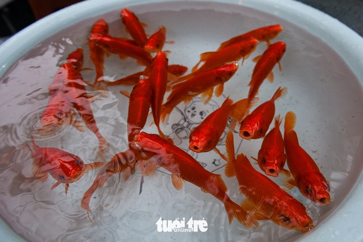 chợ Hàng Bè - Ảnh 7.