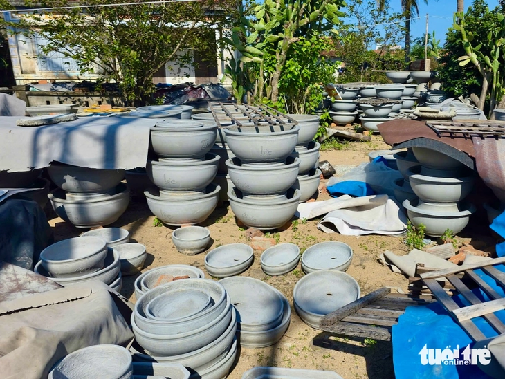 chậu cảnh - Ảnh 2.