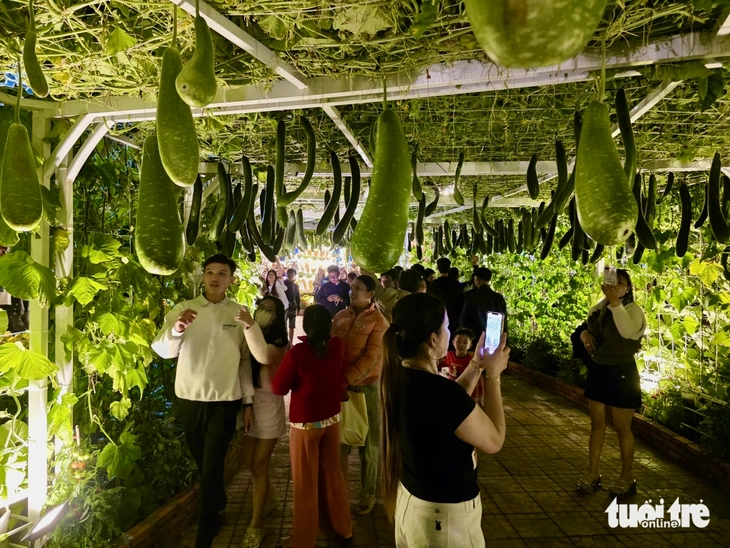 Linh vật Phú Yên lên đèn, du khách nối đuôi nhau đến check-in - Ảnh 8.