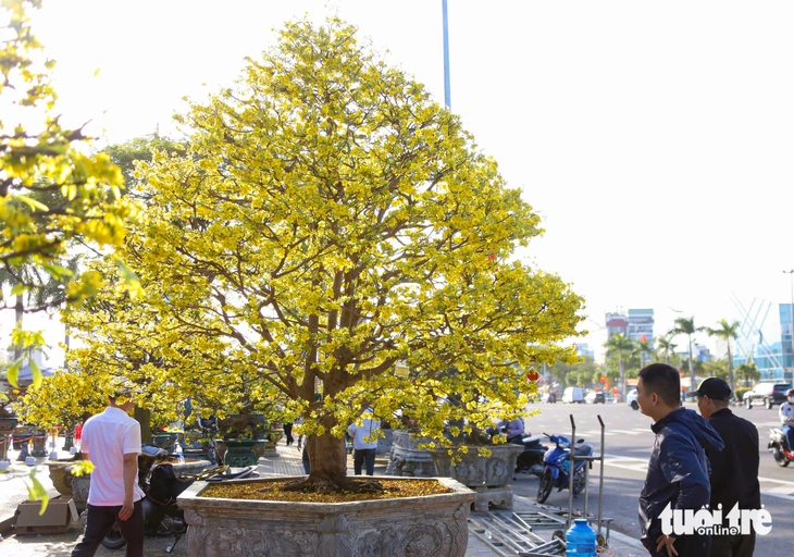 Đà Nẵng - Ảnh 6.