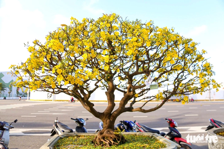 Đà Nẵng - Ảnh 7.