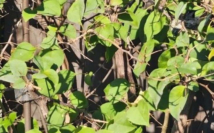 Thử tài IQ: Di chuyển một que diêm để 3+6=2 thành phép tính đúng - Ảnh 7.