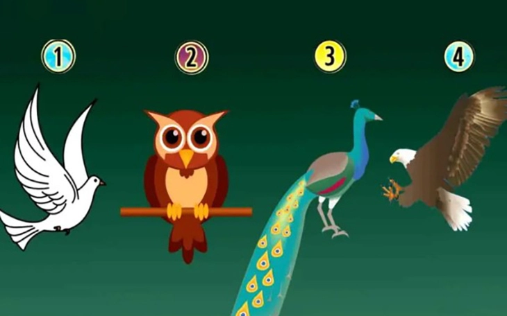 Quiz: Quà Valentine mong chờ nhất tiết lộ người đang thầm yêu bạn? - Ảnh 3.