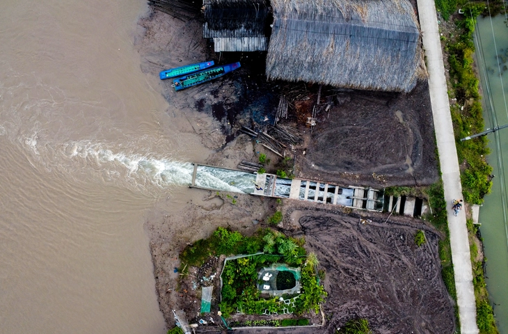 cá chẽm - Ảnh 2.