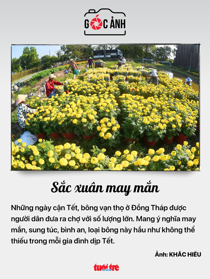 tin tức - Ảnh 7.