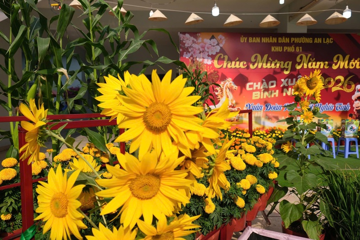 Sân thượng chung cư biến thành 'vườn xuân' 1.000 chậu hoa - Ảnh 2.