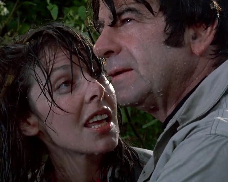 valentine - Ảnh 4.