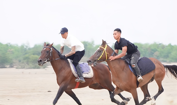 ngựa đua - Ảnh 2.