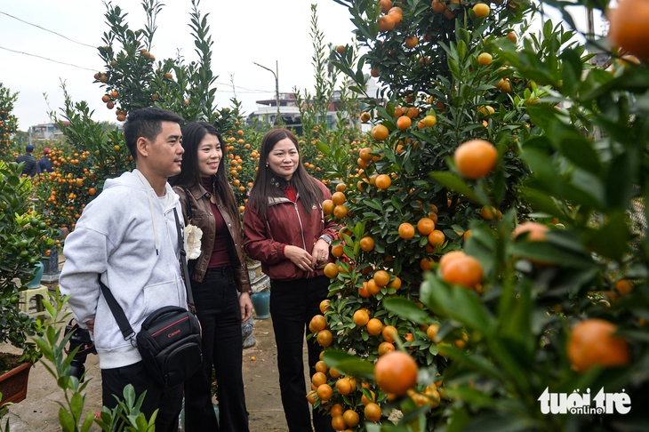 Tết Bính Ngọ - Ảnh 2.