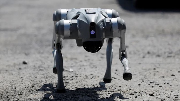 World Cup - Ảnh 1.