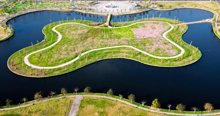 vườn hoa - Ảnh 4.