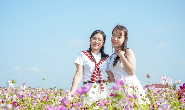 vườn hoa - Ảnh 6.