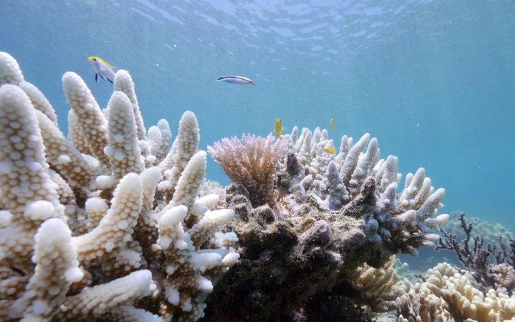 Thời tiết hôm nay 22-1: Nam Bộ nắng nóng, trời khô khốc, Bắc Bộ nhiều mây - Ảnh 2.