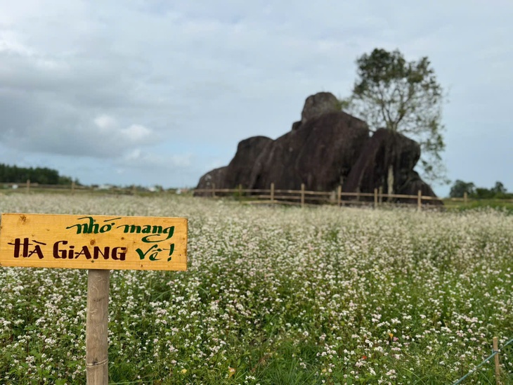 tây bắc - Ảnh 8.