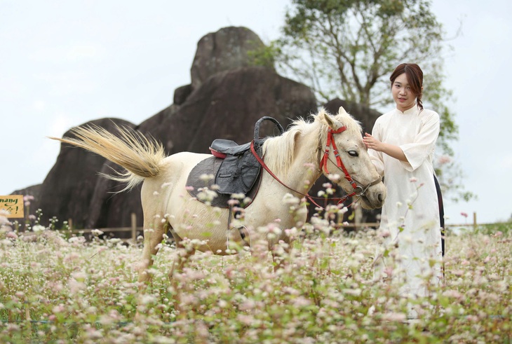 Check-in 'Tây Bắc thu nhỏ' giữa lòng Quảng Ngãi - Ảnh 3.