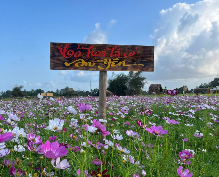 tây bắc - Ảnh 3.