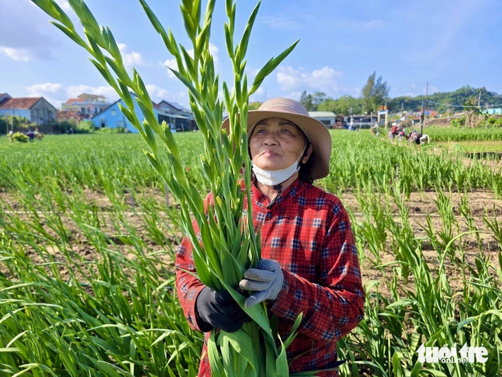 hoa Tết - Ảnh 2.