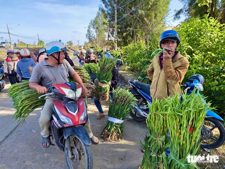 hoa Tết - Ảnh 8.