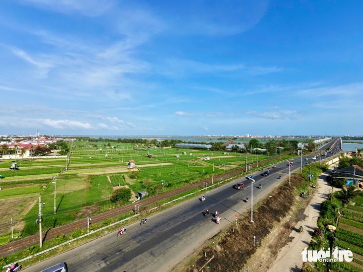 hoa Tết - Ảnh 7.