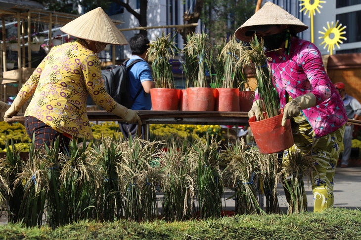 Đường hoa nghệ thuật - Ảnh 9.