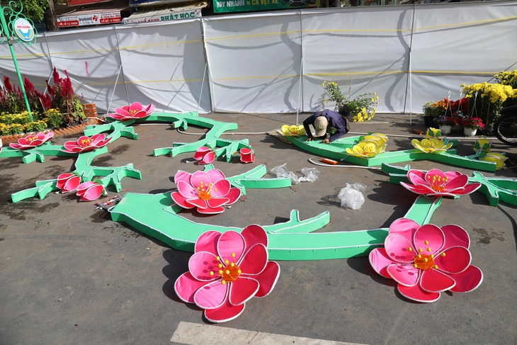 Ngắm đường hoa nghệ thuật Cần Thơ trước 'giờ G' - Ảnh 14.