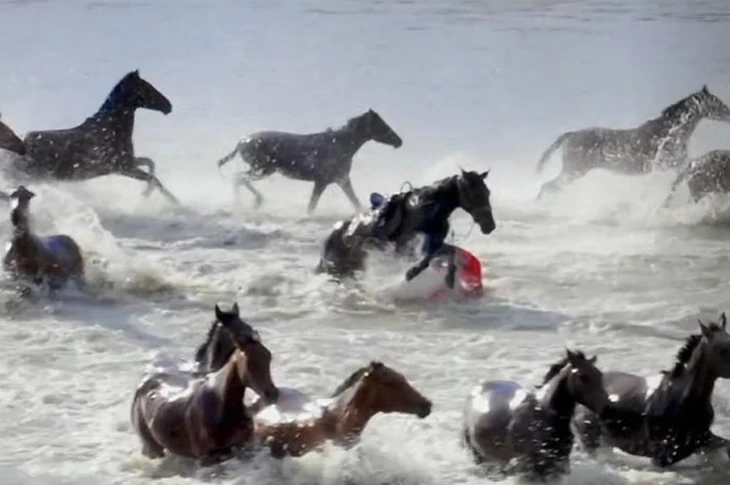 Nữ ‘quan chức influencer’ Trung Quốc qua đời vì ngã ngựa khi quay quảng cáo - Ảnh 2.