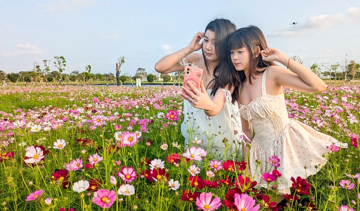 Thích thú với vườn hoa sao nhái 2,5ha, nhiều người nhắc nhau giữ gìn cảnh quan - Ảnh 1.