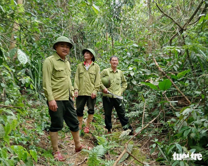 giữ rừng - Ảnh 2.