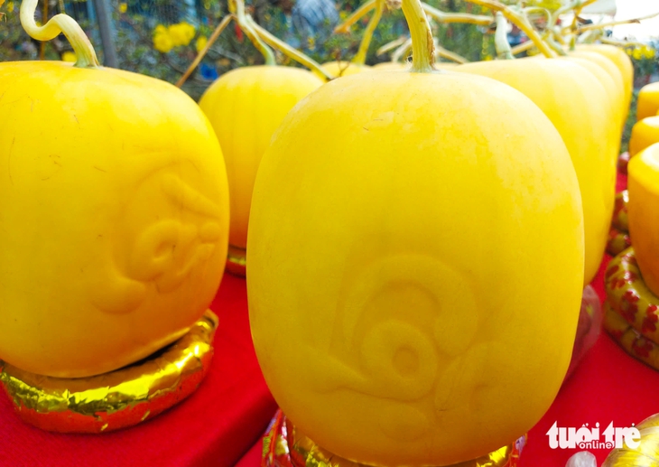 dưa hấu - Ảnh 2.