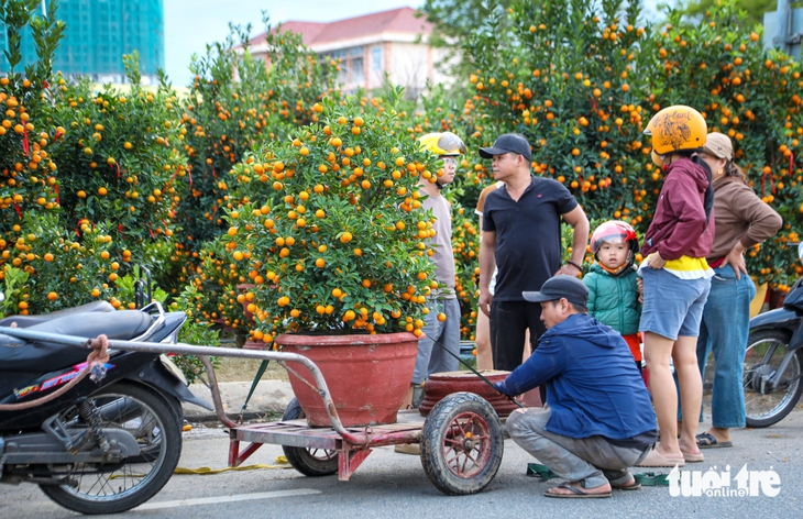 Người dân Đà Nẵng rộn ràng chở mùa xuân về nhà - Ảnh 7.
