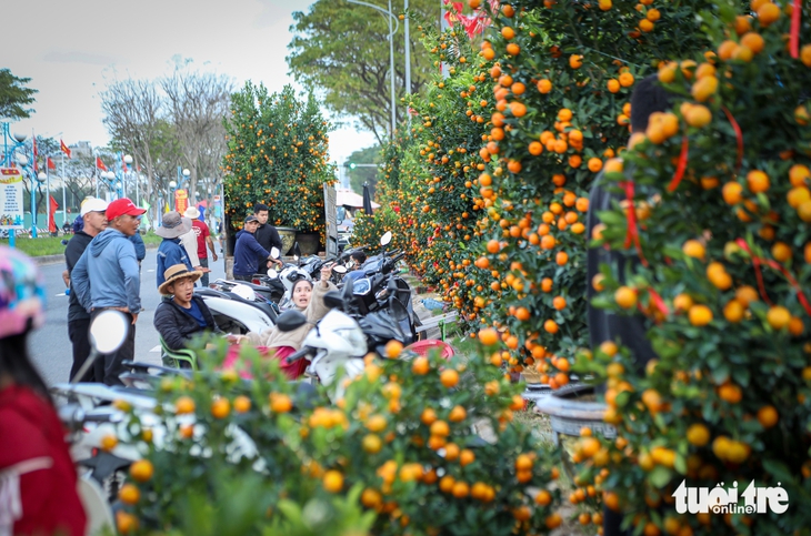 Đà Nẵng - Ảnh 8.