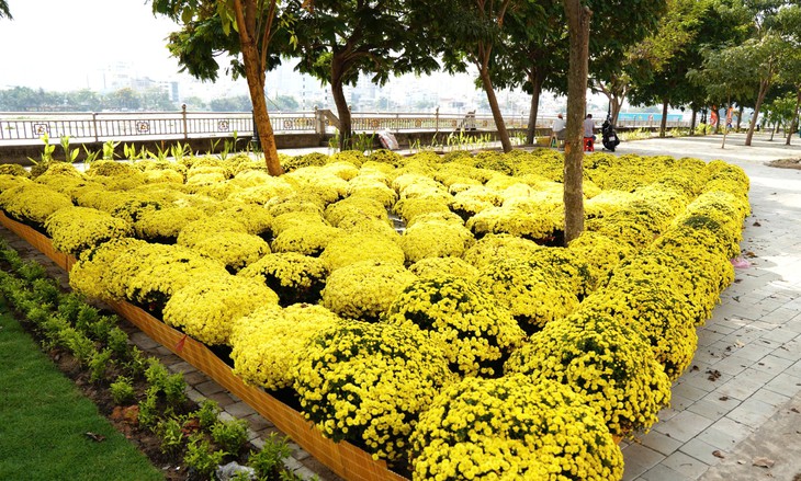 nhà sinh hoạt cộng đồng - Ảnh 3.