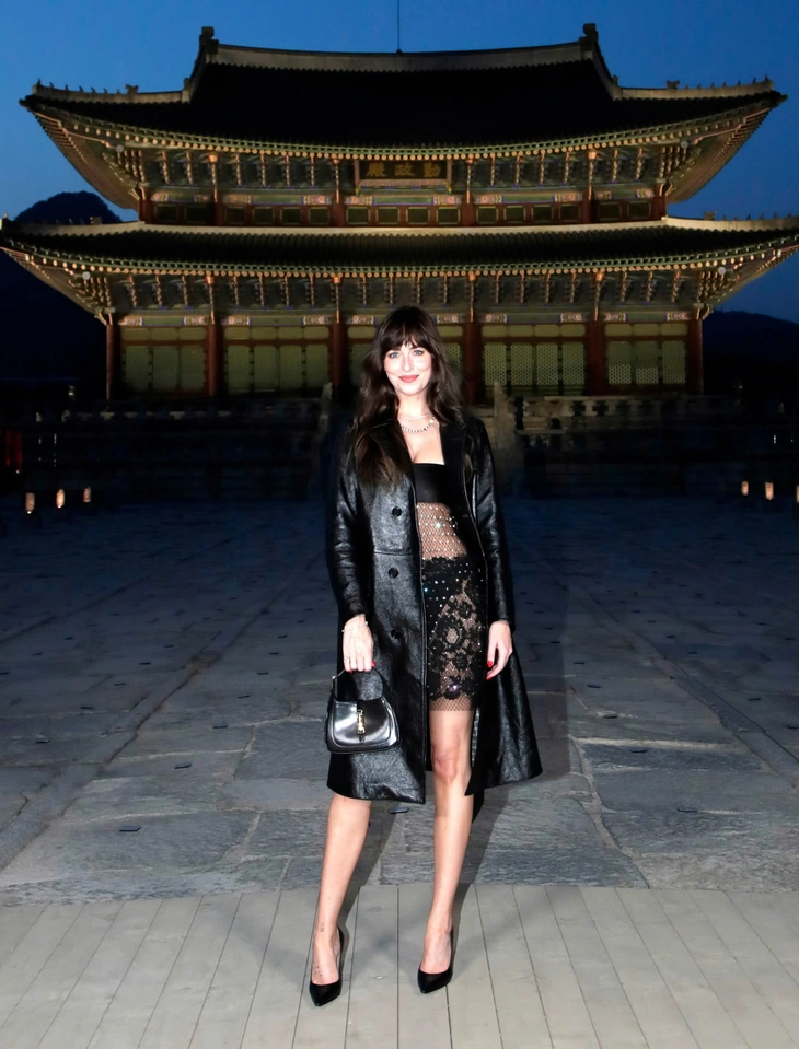 Dakota Johnson - Ảnh 11.