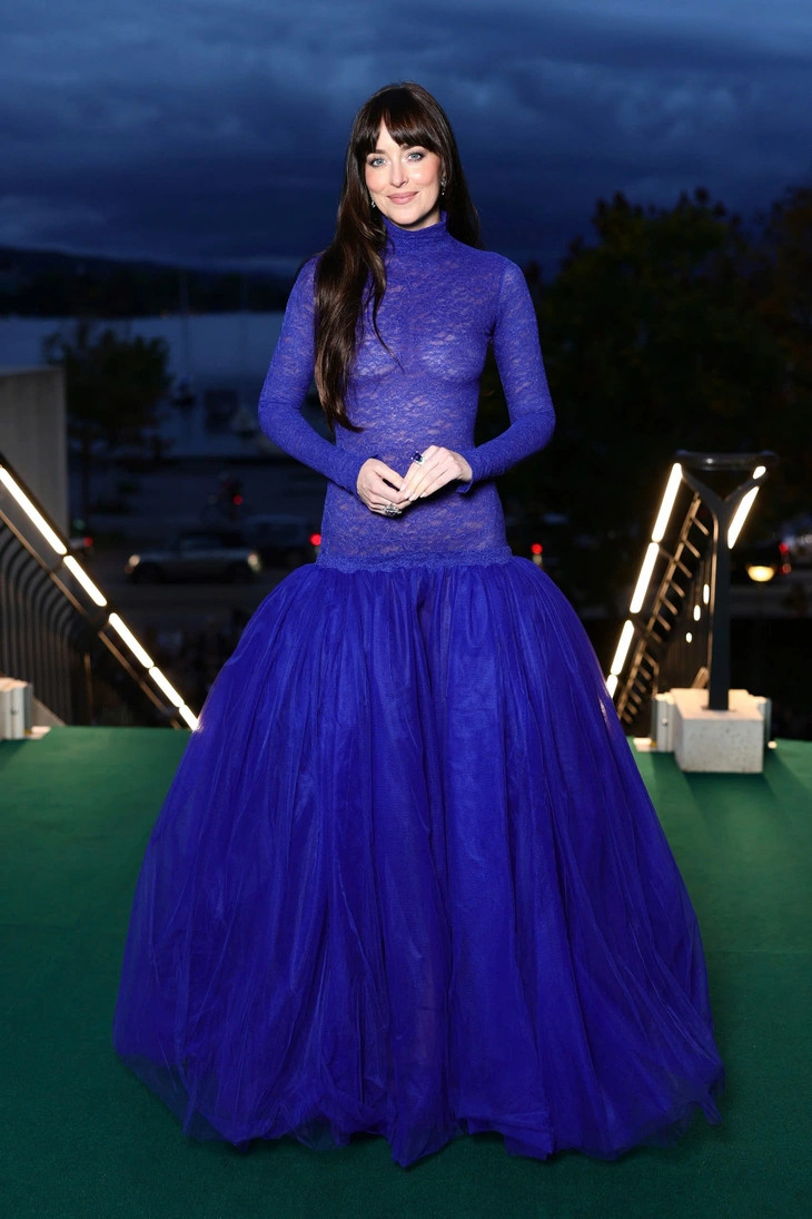 Dakota Johnson - Ảnh 3.