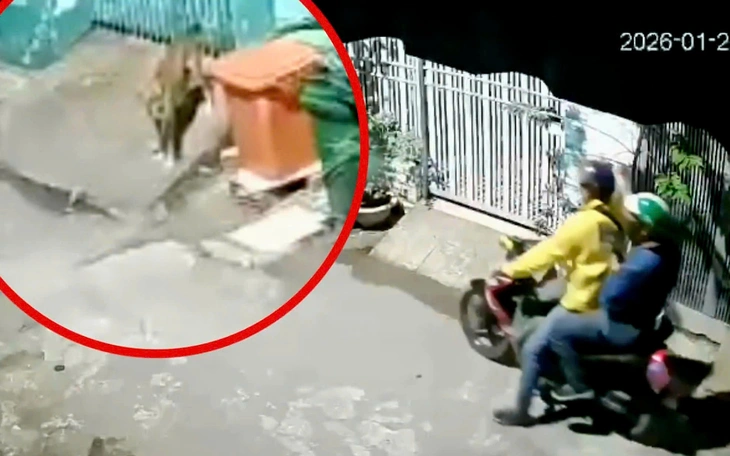 ‘Siêu trộm’ lấy 51 chiếc điện thoại trong đêm, sa lưới sau 3 giờ gây án tại TP.HCM  - Ảnh 3.