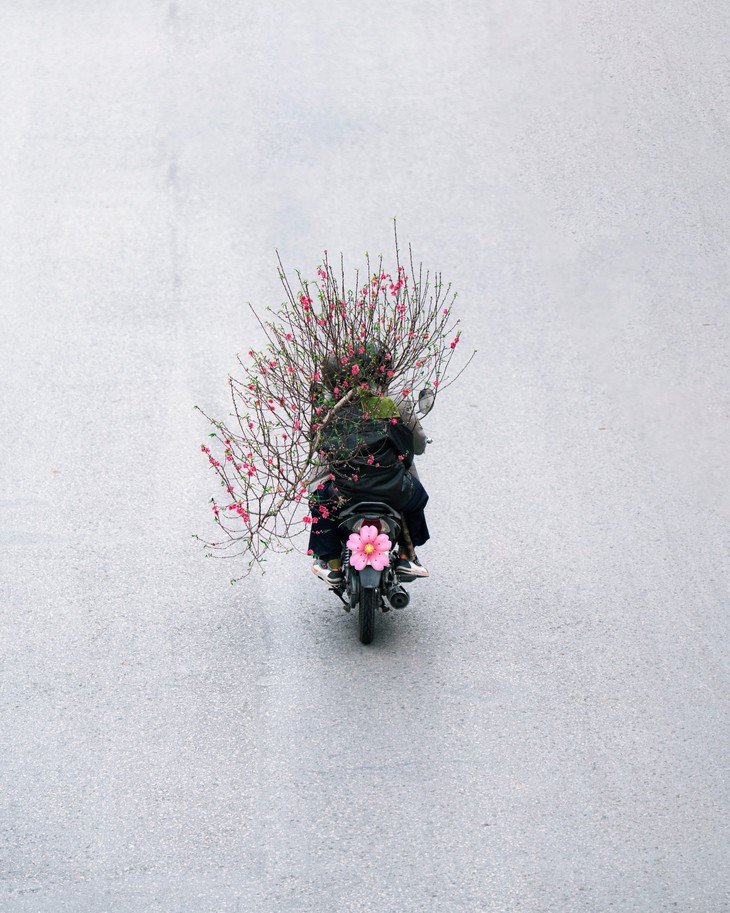 bộ ảnh - Ảnh 3.