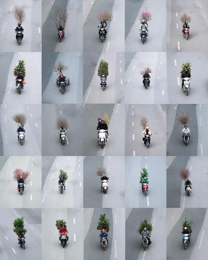 bộ ảnh - Ảnh 1.