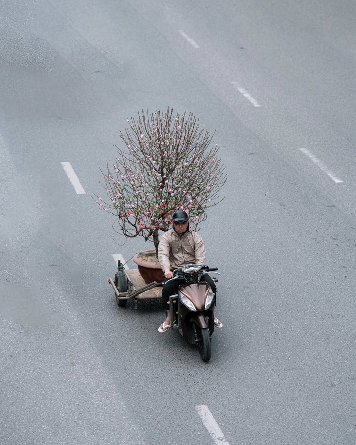 bộ ảnh - Ảnh 2.