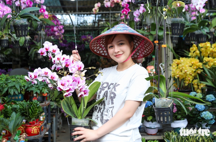 Đà Nẵng - Ảnh 2.