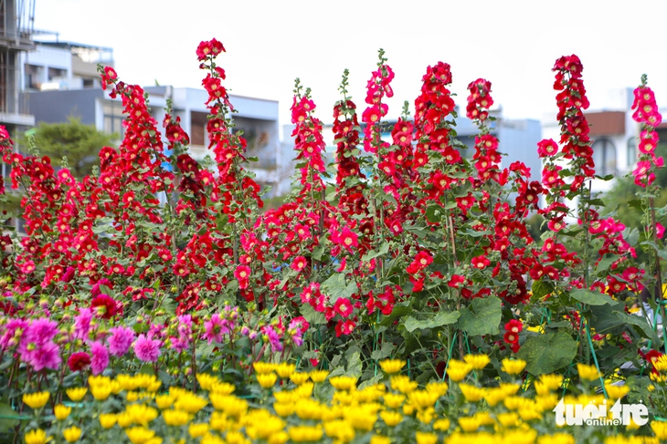 Đà Nẵng - Ảnh 10.