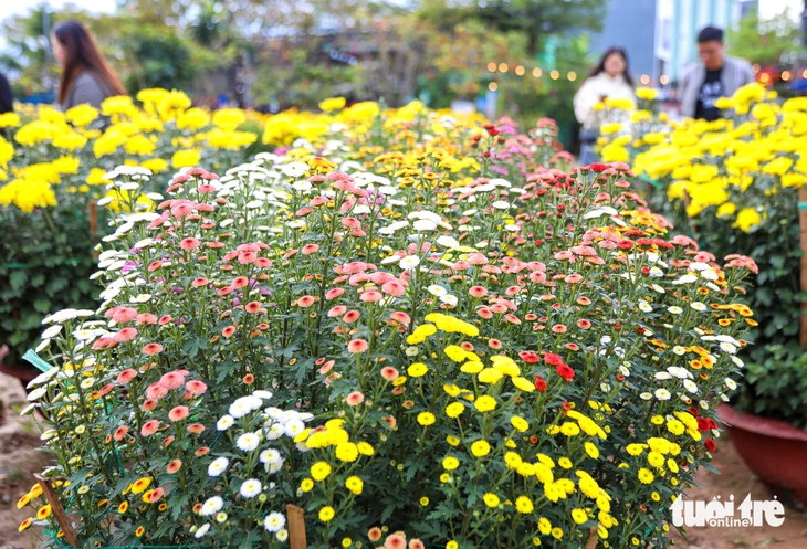 Đà Nẵng - Ảnh 11.