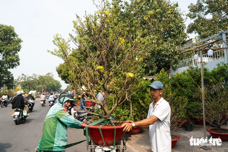 Chợ hoa Tết sôi động ngày 27 tháng Chạp, sức mua khởi sắc - Ảnh 8.