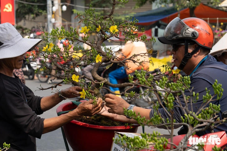 Chợ hoa Tết sôi động ngày 27 tháng Chạp, sức mua khởi sắc - Ảnh 9.