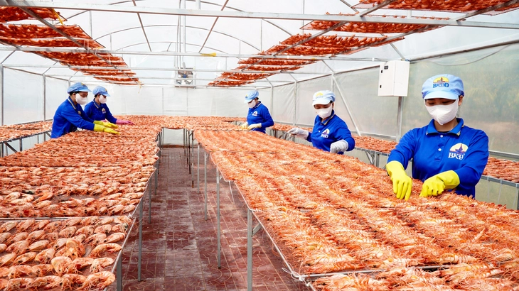 TÔM KHÔ - Ảnh 1.