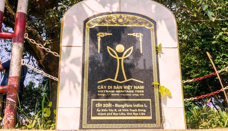 Cây xoài di sản hơn 340 năm ở Cà Mau gắn với truyền thuyết hổ ba chân - Ảnh 5.