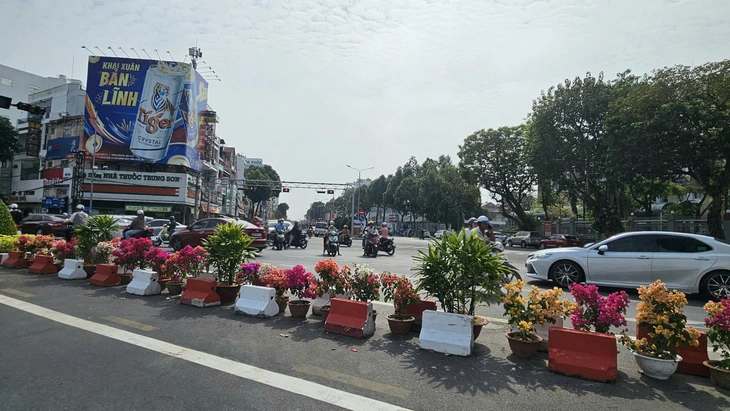 đèn đỏ - Ảnh 2.