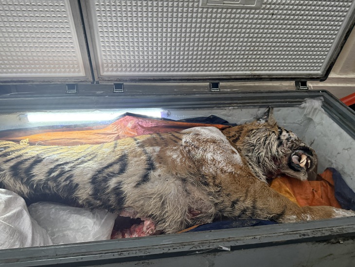 động vật - Ảnh 1.