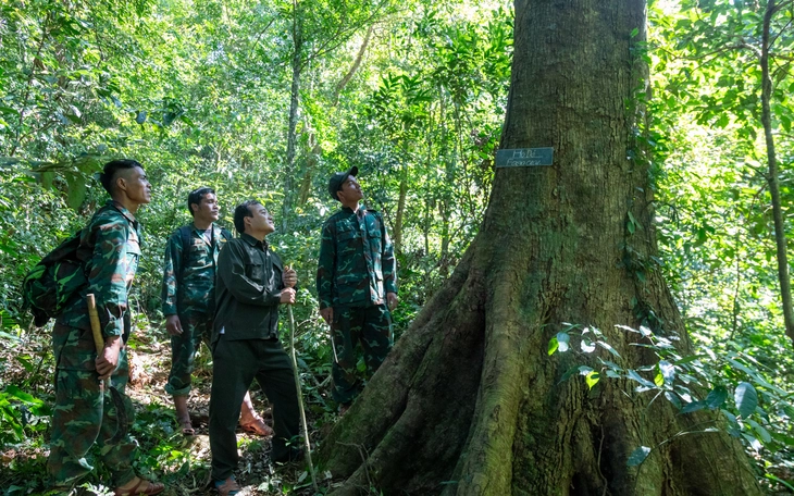 Bên nào cũng có cha mẹ mong ngóng, Tết về nhà ai hay ai về nhà nấy? - Ảnh 3.