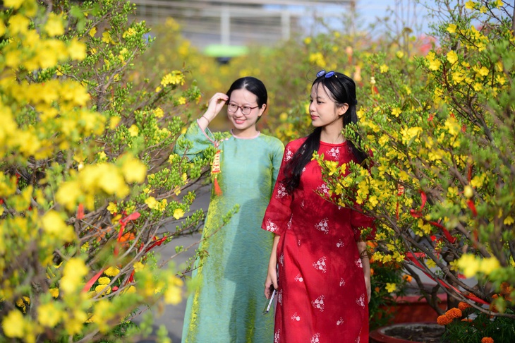 Vinhomes Green Paradise Cần Giờ - Ảnh 5.