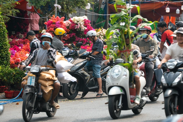 hoa Tết - Ảnh 5.